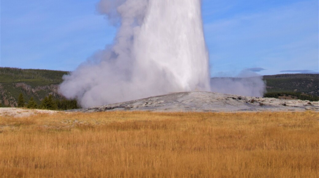 Old Faithful erupting
#greatoutdoors