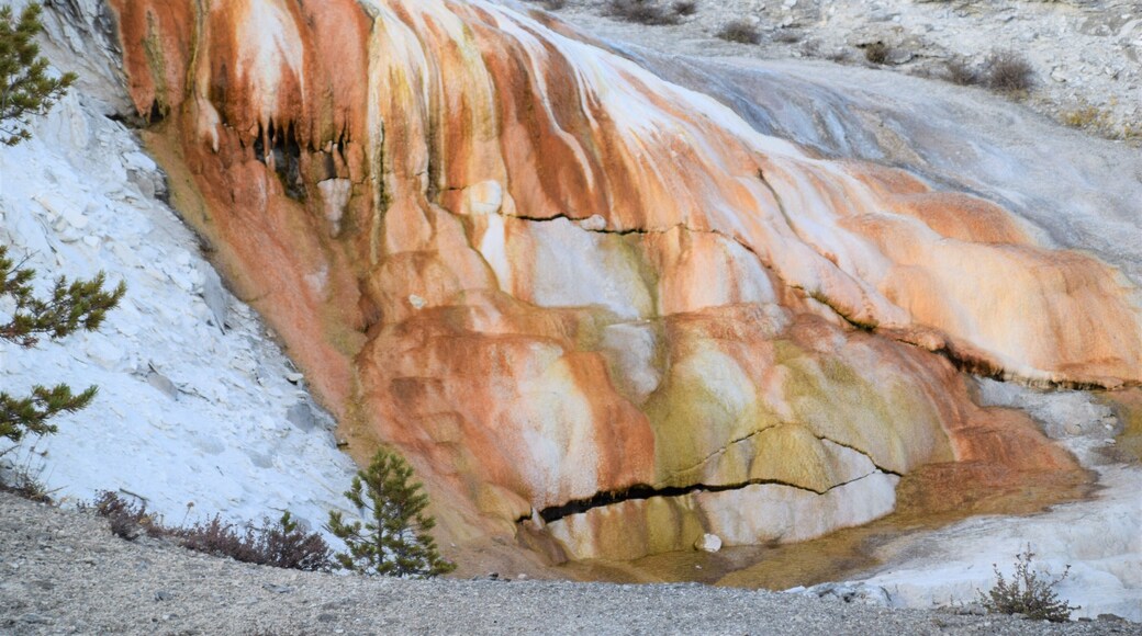 Spilling colors
#greatoutdoors