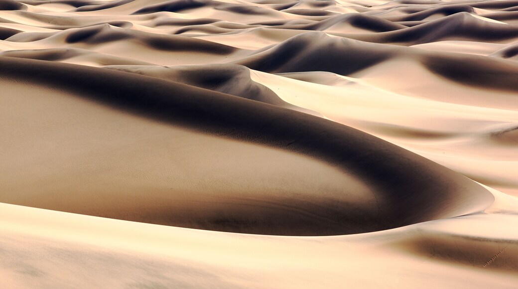 Eolian Dunes Preserve