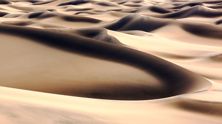 Eolian Dunes Preserve