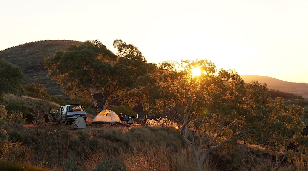 Hiking and camping in the hilly landscapes near Dales Gorge and Karijini National Park in Western Australia.