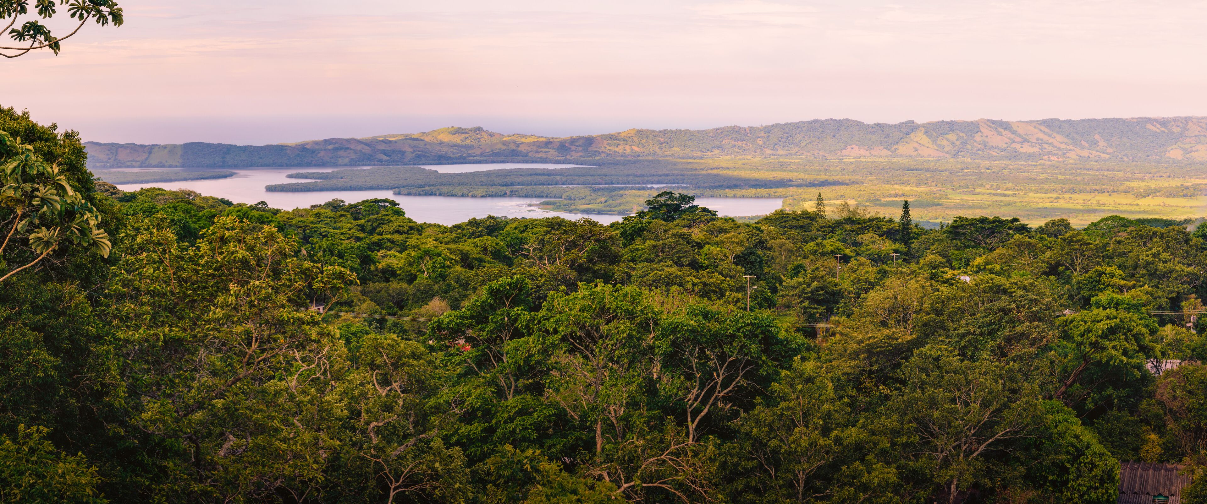 A dense forest with a river and distant hills.