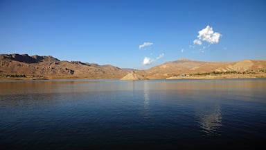 Mekhtar