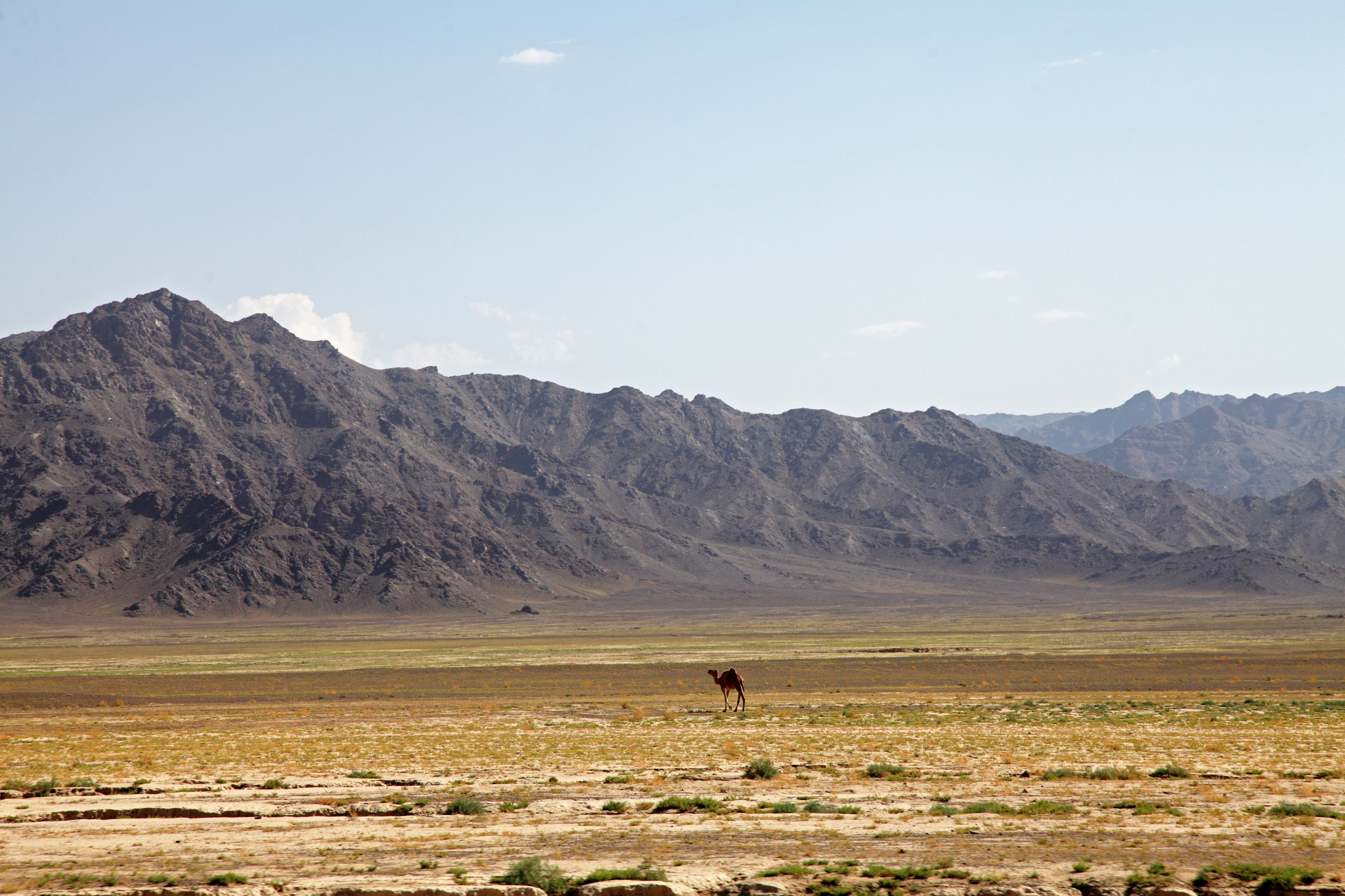 Mekhtar