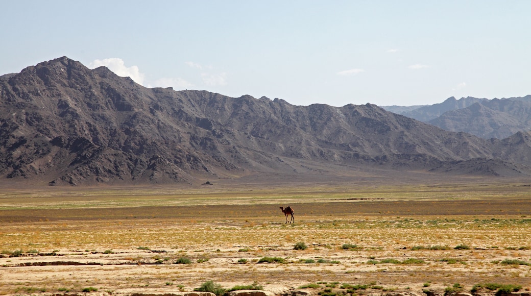 Mekhtar