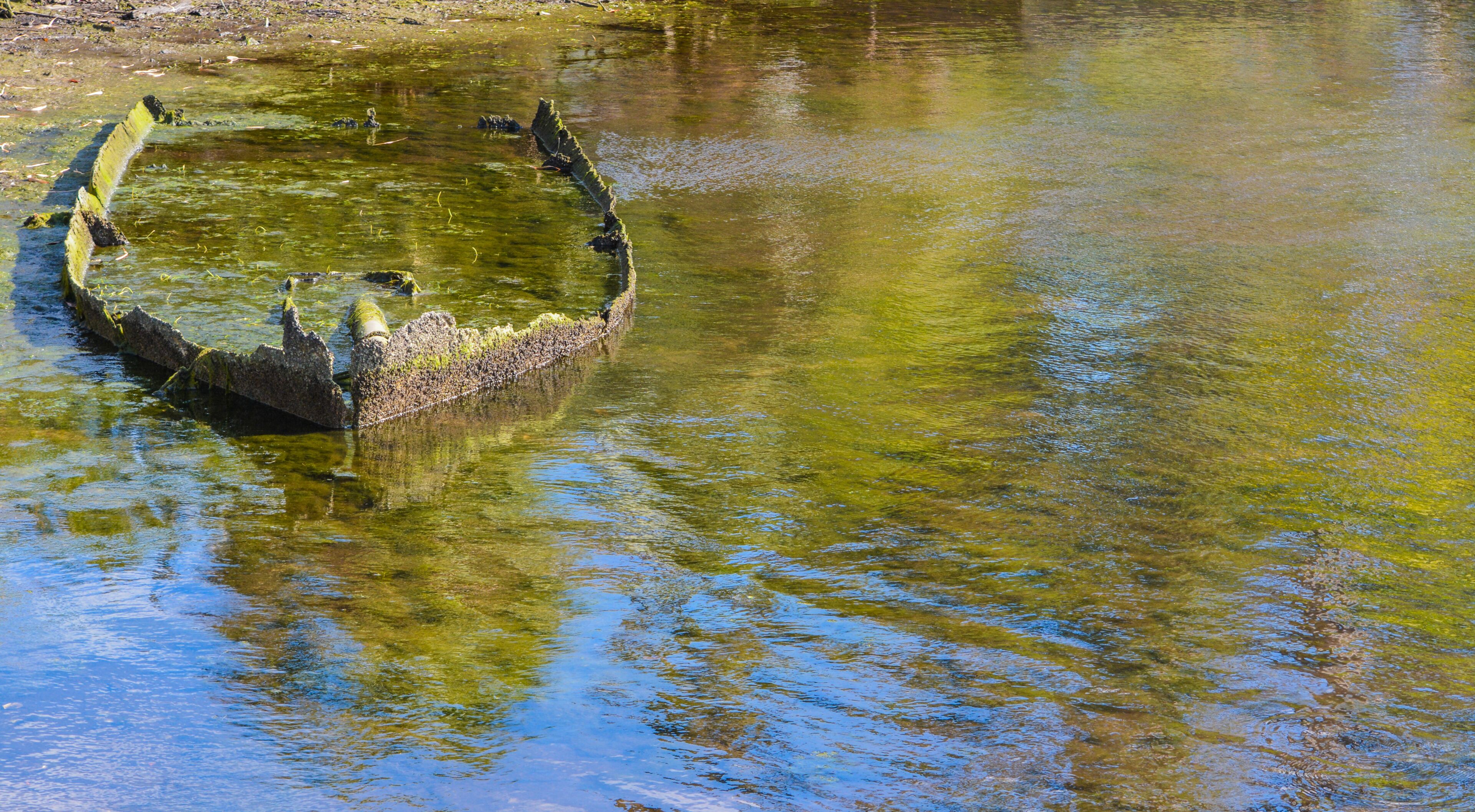 Sunken rusted out boat in Homosassa Springs Florida