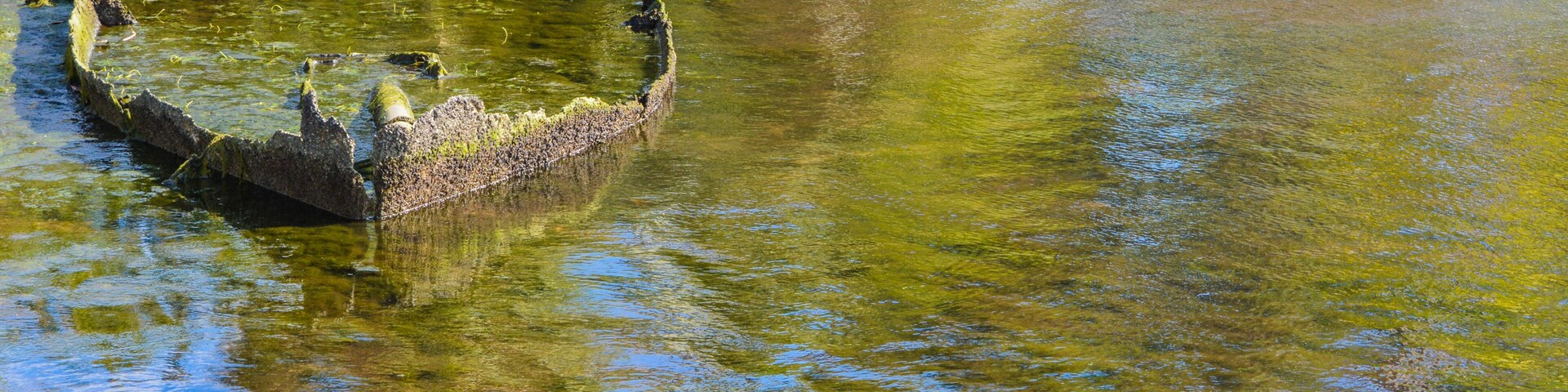 Sunken rusted out boat in Homosassa Springs Florida