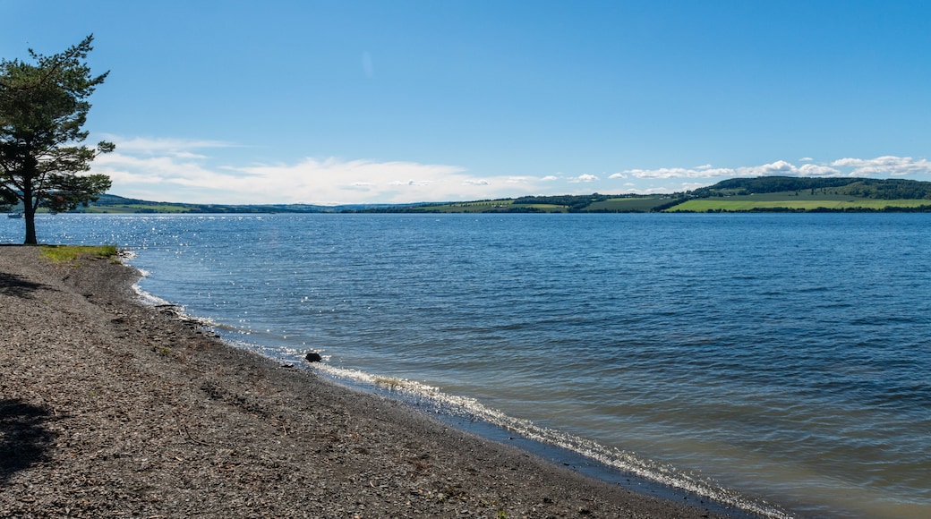 In Hamar by the Mjøsa lake