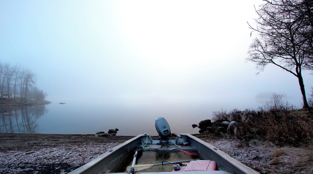 I love how this boat is frozen in time looking out over a frosty lake. The paddles are stuck in the block of ice created by the falling rain during autumn.
#WinterWonders