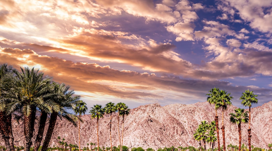 san jacinto mountain, palm springs, california