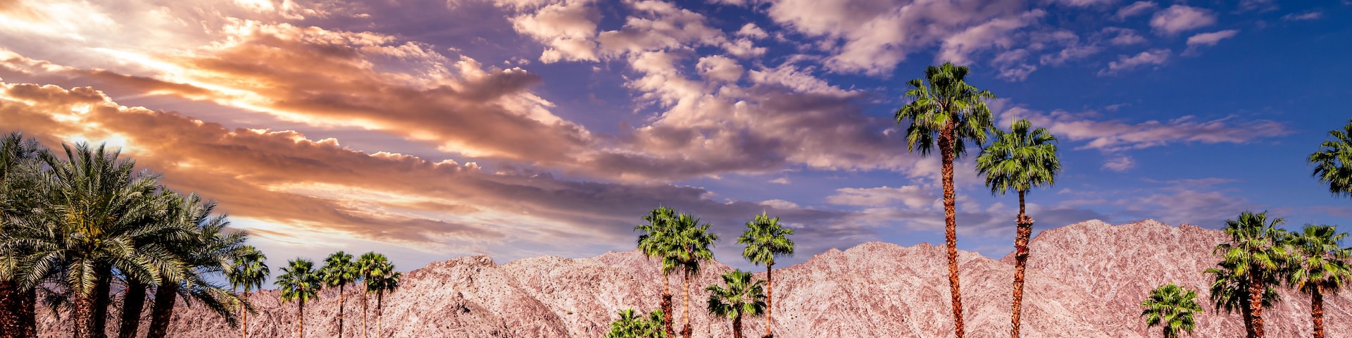 Paisaje desértico con palmeras y montañas bajo un cielo parcialmente nublado.
