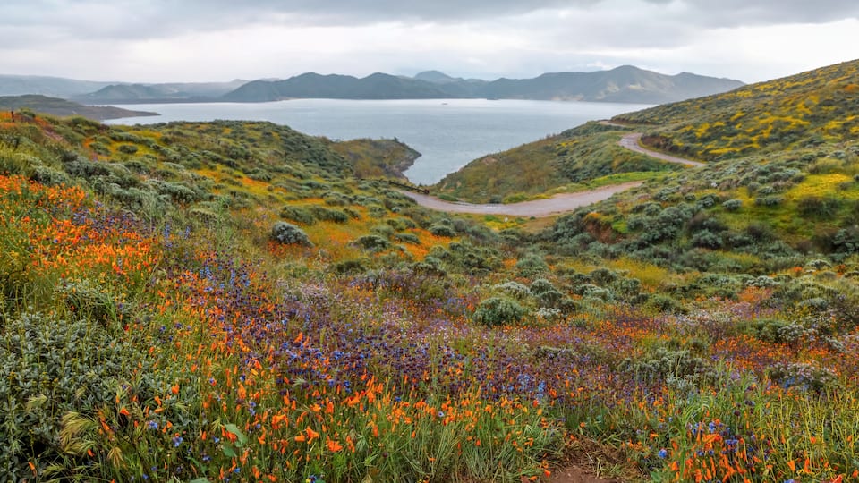 A coastal landscape with a winding road, diverse vegetation, and a body of water in the distance.