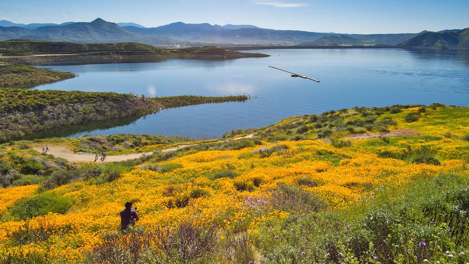 A lake surrounded by mountains, with a person taking a photo and a field of yellow flowers in the foreground.