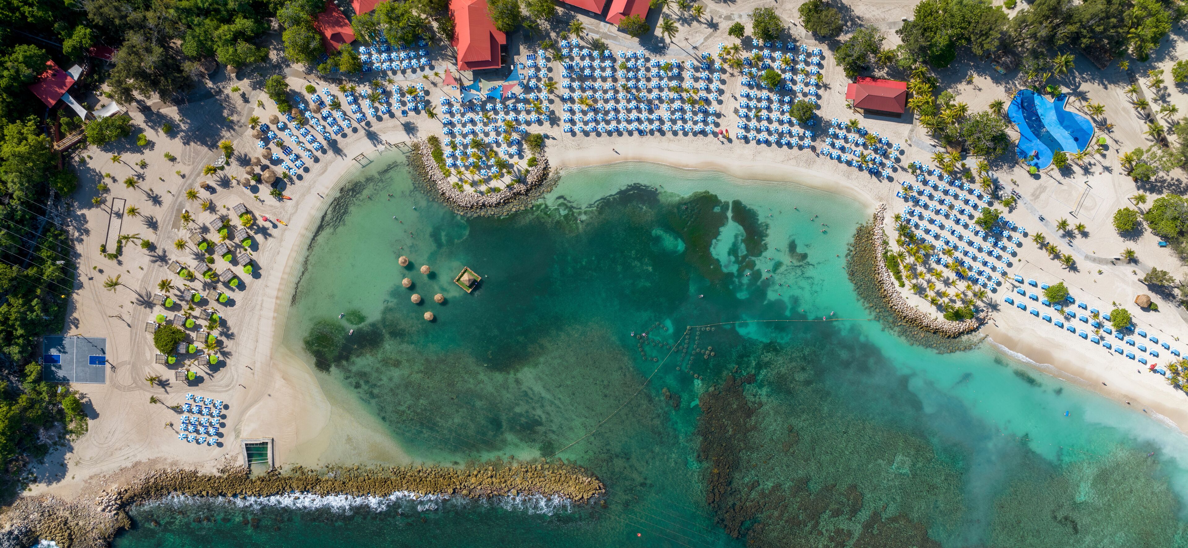 An aerial view of a beach with clear turquoise waters, organized rows of blue umbrellas, and a few scattered palm trees.