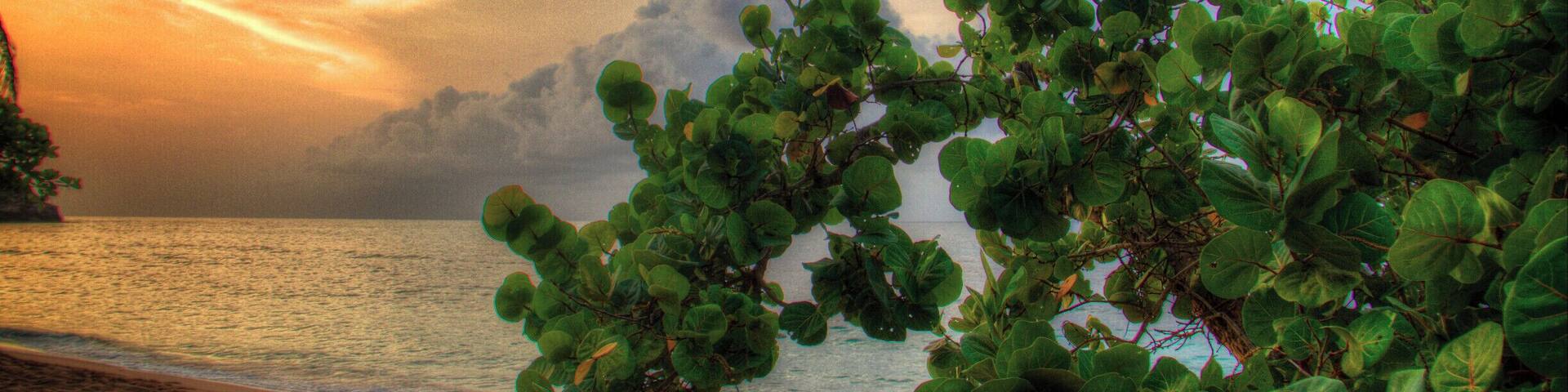 A gorgeous place to relax in the North of Haiti. The freshest seafood in Cap Haitian! Sit back by the bar with an island rhum and watch the beautiful sunset!