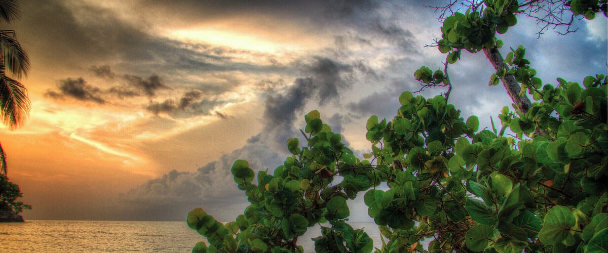 A beach with lush greenery and a cloudy sky.