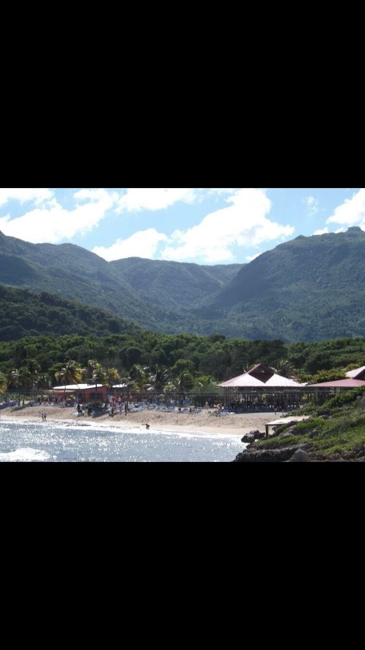 Jungle Beach

#beach #island #caribbean