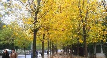 Fall has fall and winter will come、but Spring will also come after winter……This is turn around,just like life.