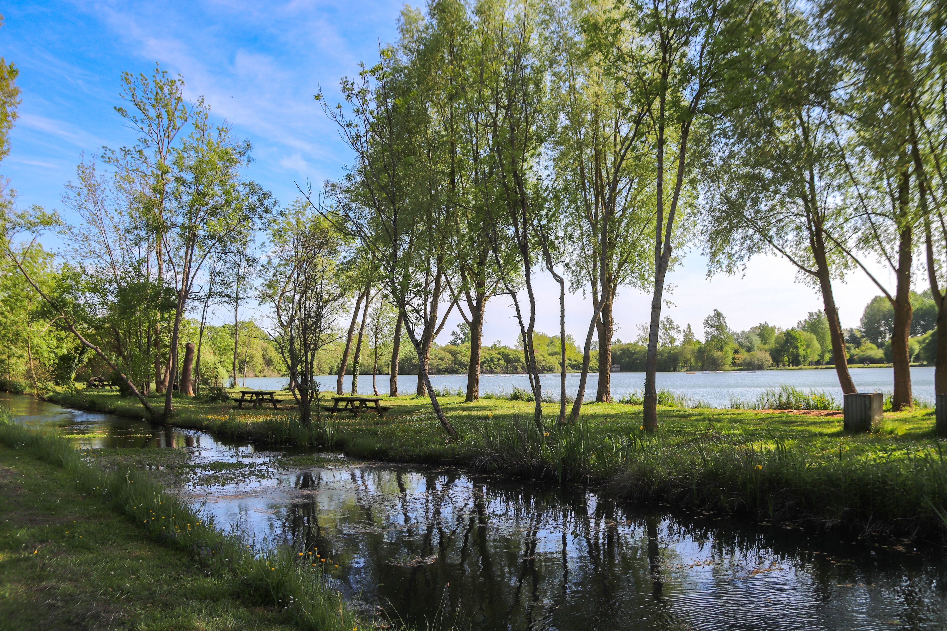 Charente-Maritime - Aigrefeuille - Lac de Frace et la rivière du Curé qui l'alimente
