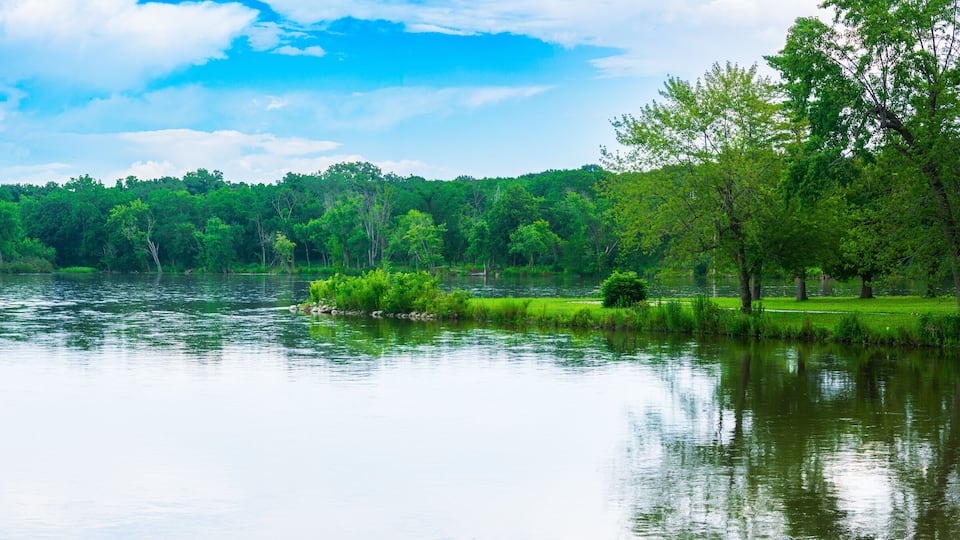 A calm river surrounded by lush green trees and a clear blue sky.