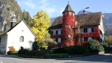 A building with a tower covered in red foliage, a white church, and a mountain in the background.