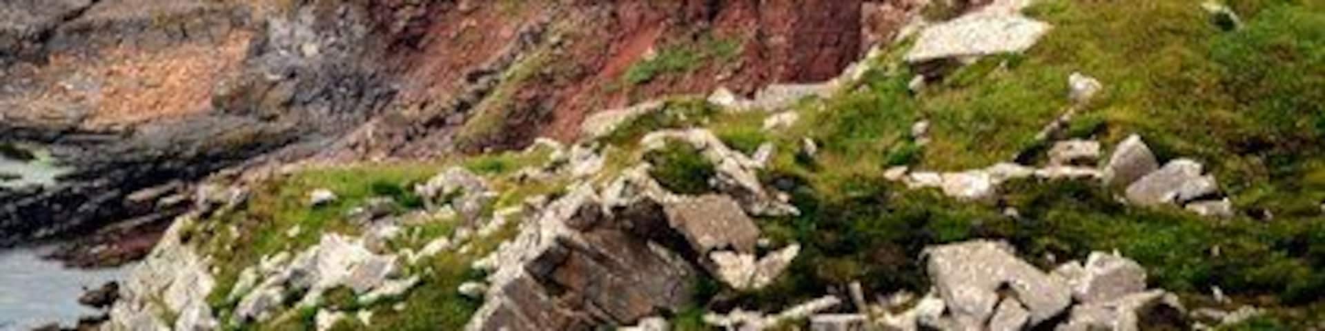 The Old Man of Hoy A spectacular home to a wide range of sea birds including a small colony of Puffins