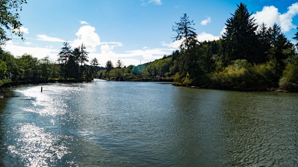 A river with a bridge, surrounded by dense forest and clear blue sky.