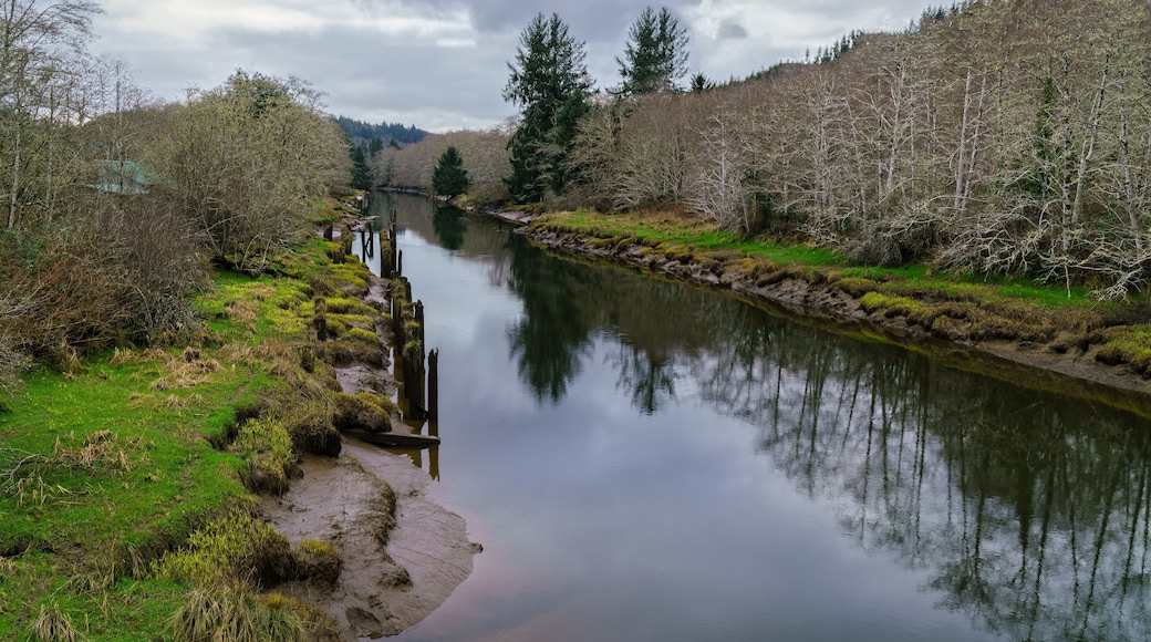 Hoquiam River
