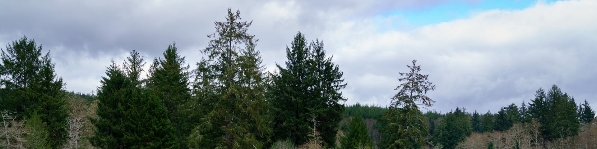 Hoquiam River