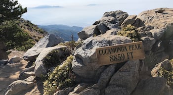 Terreno roccioso con un cartello che indica CUCAMONGA PEAK a 2694 metri.
