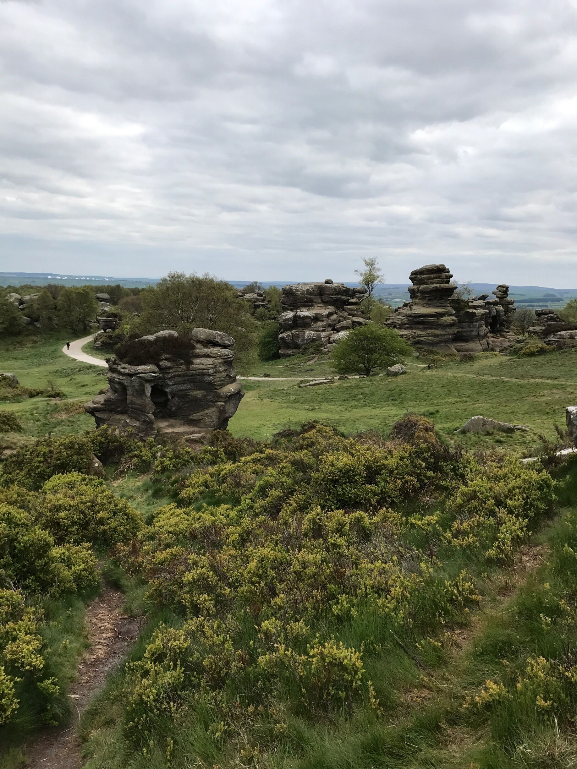 Brimham rocks 