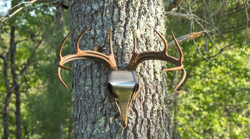 Rebar antlers...