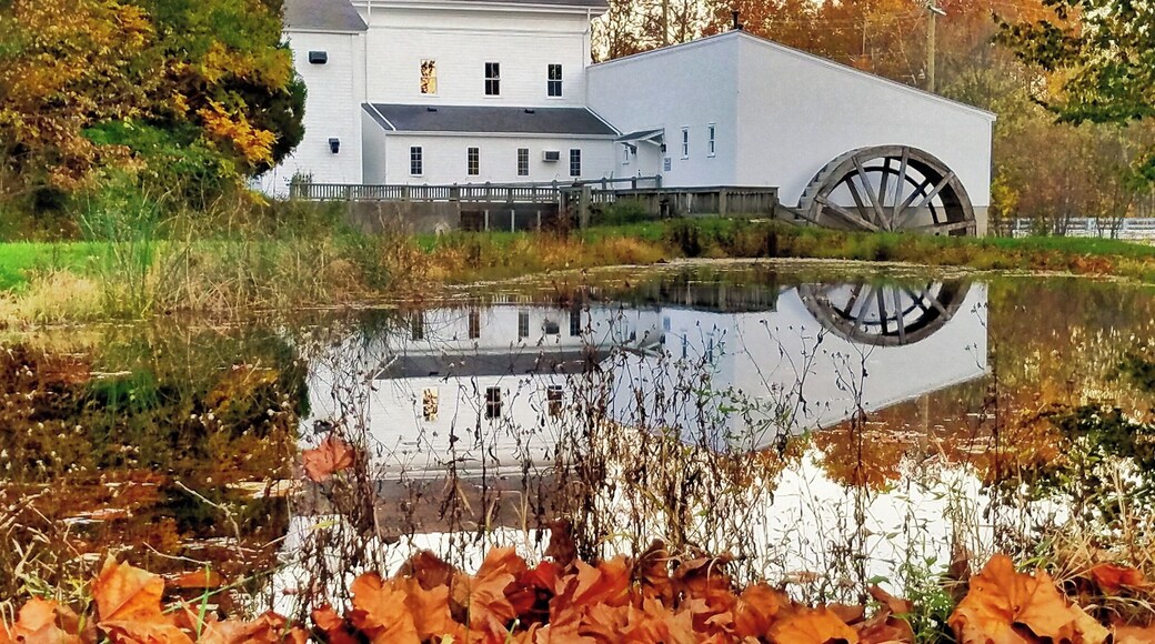 Fall time at Walcott Mill.