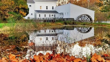 Fall time at Walcott Mill.