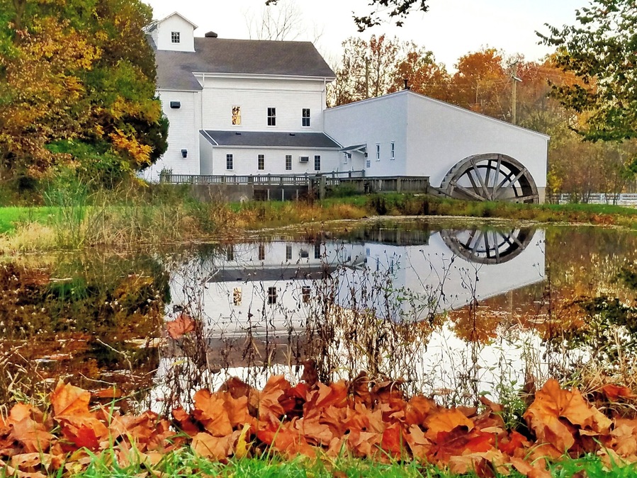 Fall time at Walcott Mill.