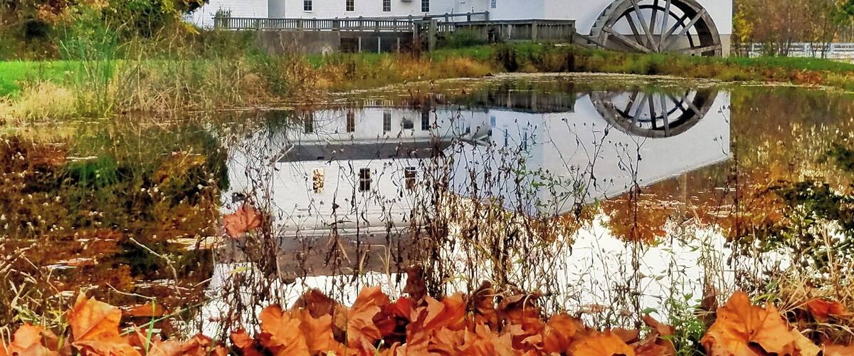 A white building with a large water wheel in a pond surrounded by autumn leaves.
