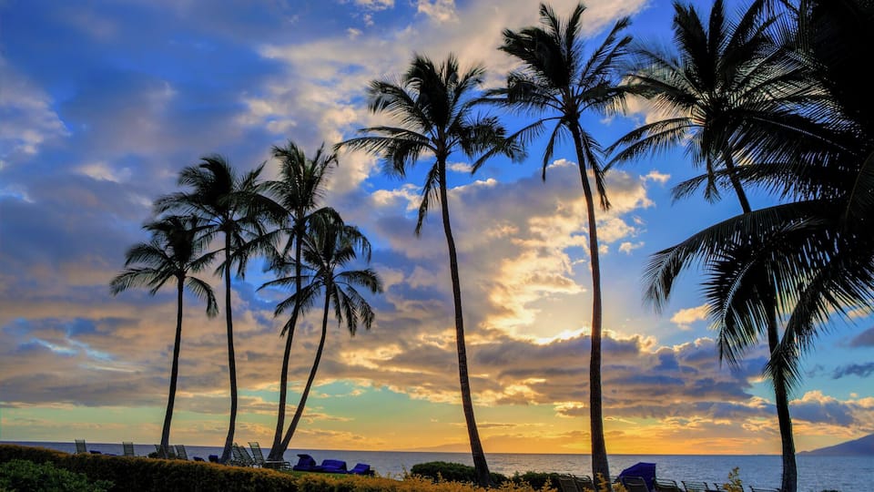 A sunset over the ocean with palm trees and beach chairs.