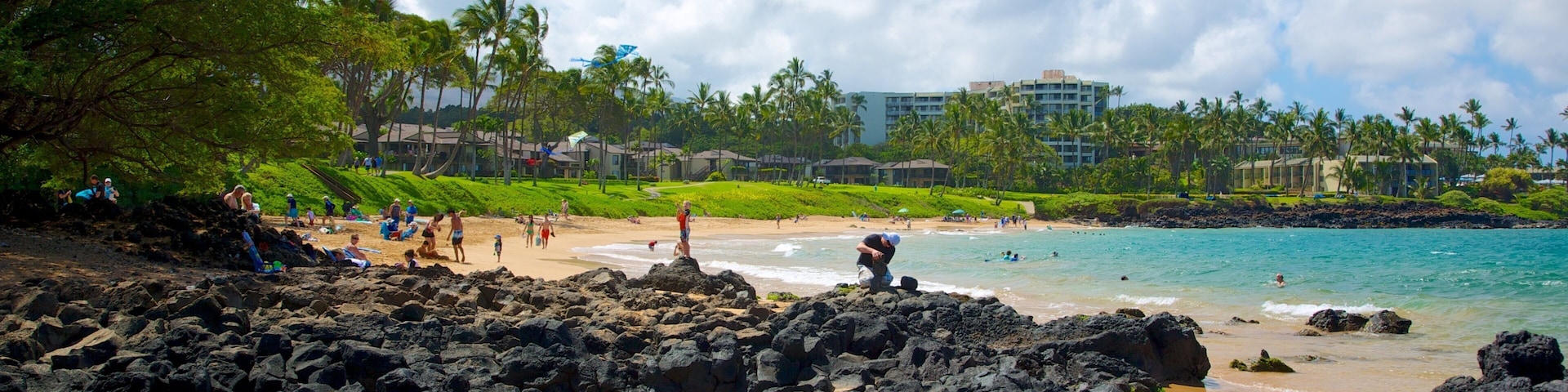 Wailea og byder på udsigt over kystområde, barsk kystlinje og en sandstrand