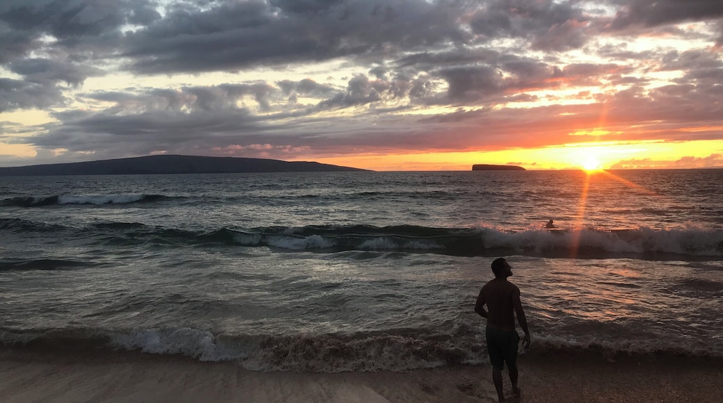 Little nude beach action. Unreal vibes.