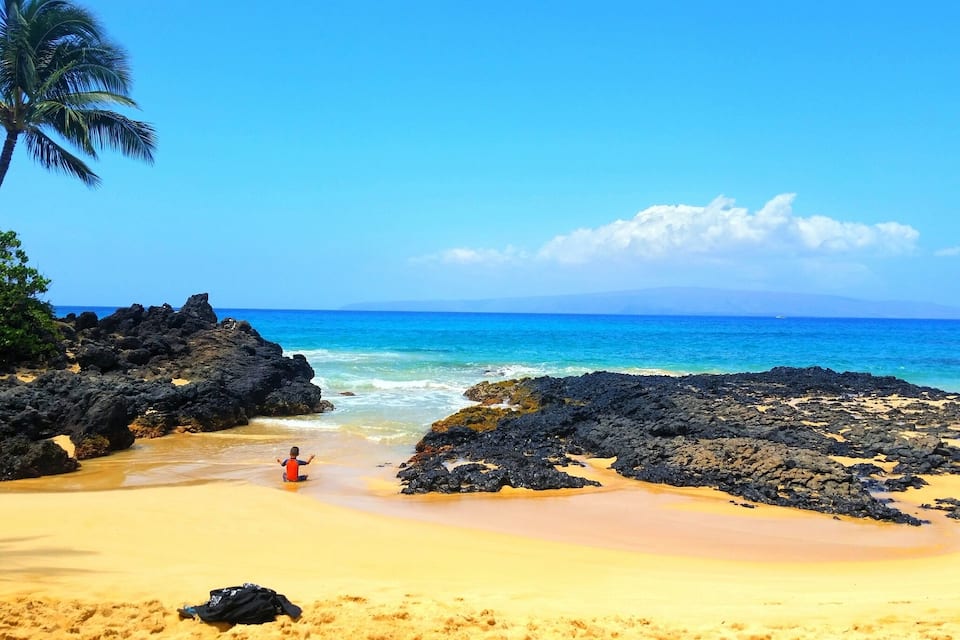 A tropical beach with clear blue waters, a person meditating, and a palm tree.