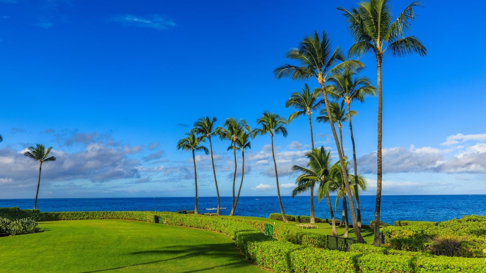 A golf course with a view of the ocean and palm trees.