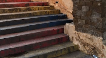 One of the beautiful entryways into the Ancient Medina in Casablanca.
#Ancient
#Medina
#Casablanca
#Morocco
#Portal