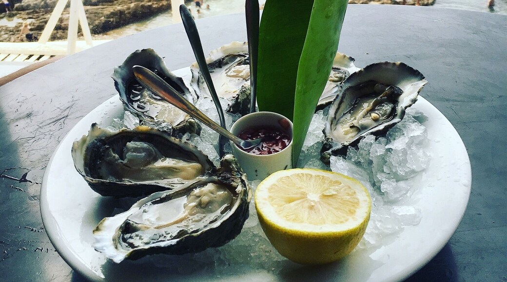 BEST oysters I've ever had. And a sea view?! Couldn't get any better than this! Everything on Cabestan's menu looked absolutely delicious. Was only able to try a few things and they were amazing. The bathrooms in this restaurant are pretty cool too! Full length windows for a sea view while on the John! Ha 🙈