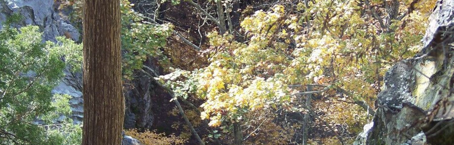 Shawnee National Forest