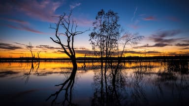 A really cool camping spot along the banks of Rocklands Reservoir in Victoria.
#BvSBlue