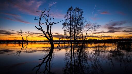 A really cool camping spot along the banks of Rocklands Reservoir in Victoria.
#BvSBlue