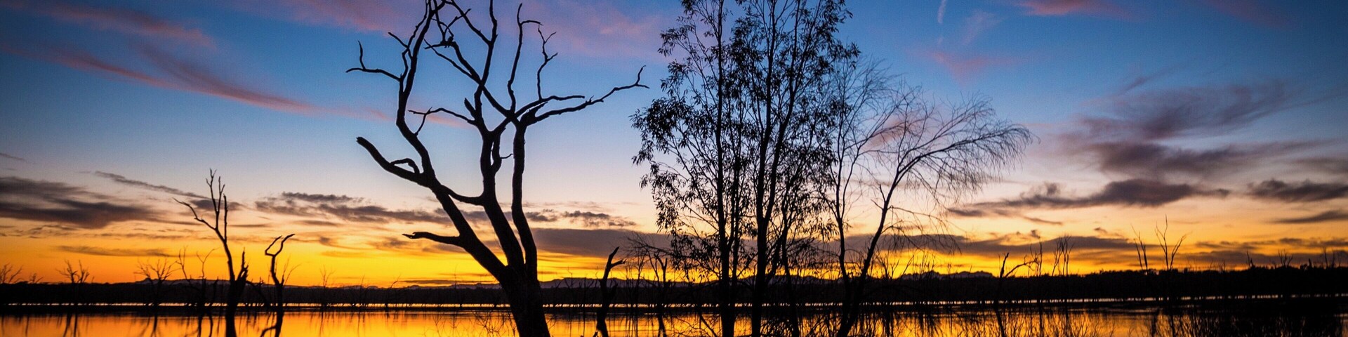 A sunset over a calm lake with silhouetted trees and a clear sky.