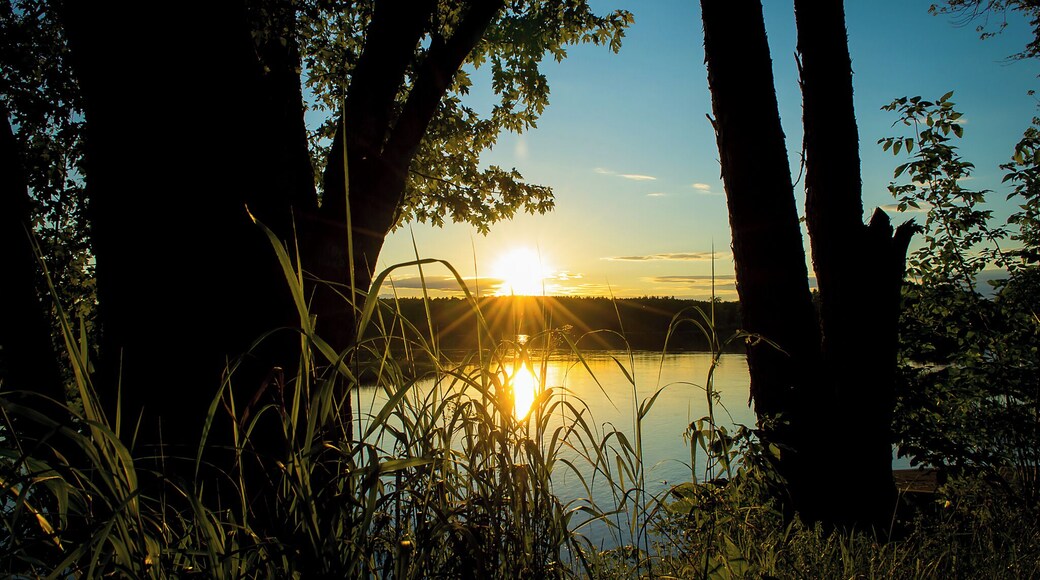 This boat launch in Passadumkeag, Maine sits right in the corner of the Penobscot River and the Passadumkeag River. It's one of my favorite places to sit in the evening and watch the sunset. Because Passadumkeag is extremely rural, this boat access is usually pretty solitary, but it's a great entry point into the calm waters of the Penobscot for kayakers and boaters.
The boat access is easy to find. It's located on Route 2, a simple drive through simple terrain with relatively little traffic. Travelers to Maine can follow my map pin right to the parking lot. It comfortably fits about four vehicles with trailers, but you'll rarely find more than one here at a time. Highly recommended for people who like to get out on the water and relax.
#sunsets #maine #rivers