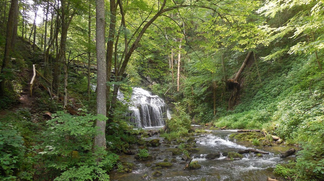 Cascade Gorge Falls...outside of Hot Springs, Virginia; USA