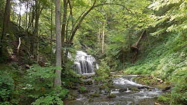 Cascade Gorge Falls...outside of Hot Springs, Virginia; USA
